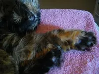 IMGP6270.webp