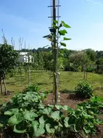 DSC00008.webp