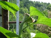 DSC00007.webp