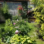 20180605_145914.jpg