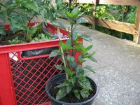 IMG_6217.webp