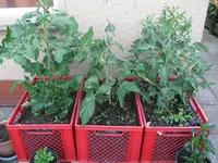 IMG_6216.webp