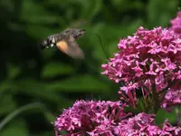 DSCF1233.webp
