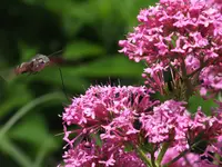 DSCF1232.webp