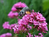 DSCF1217 (2).webp