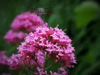 DSCF1216 (2).webp