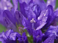 image005.webp image005.webp