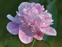 image008.webp image008.webp