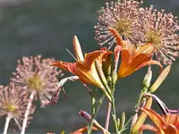 image011.webp image011.webp