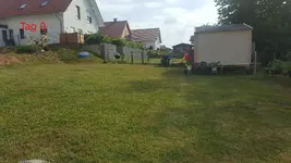 20180608-Rasen_2-Tag_0-1-Wildkraut-Wiese.webp