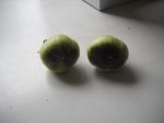 DSCN7764.jpg