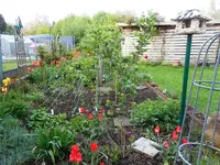 Gartenvergleich 2.webp