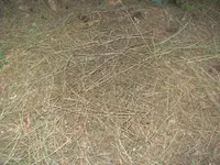 BILD9806.webp