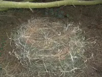 BILD9808.webp