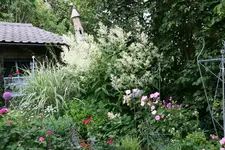 Juni 1918.webp
