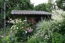 Juni 2018.webp
