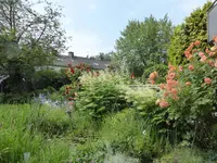 P1090996Gartenseite.webp