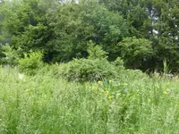 P1090971Teich.webp