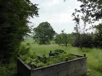 P1090995Hochbeet.webp