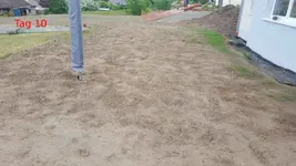 20180609-Rasen_1-Tag_10-2-Oberfläche_angeritzt.webp
