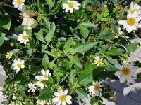 20180609_140335.jpg