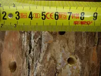 Bienenstamm lochgroße (2).webp