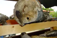 DSCF3096.webp