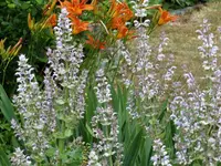 image002.webp image002.webp