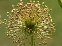 image003.webp