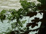 Isar.JPG