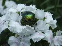DSCF1255.jpg