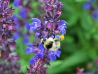 DSCF1223 (2).webp