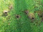 20180601_190842.jpg