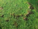 20180601_190857.jpg