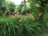 BILD9812.webp