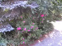 BILD9768.webp