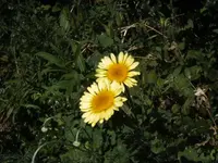 BILD9743.webp