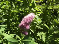 BILD9755.webp