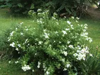 BILD9776.webp