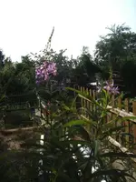 BILD9763.webp