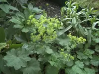 BILD9813.webp
