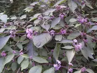 BILD9814.webp