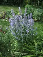BILD9820.webp