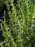 BILD9818.webp