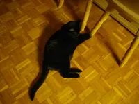 IMGP6289.webp