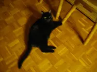IMGP6288.webp