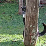 IMG_8974v (2).webp