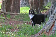 IMG_8851v (2).webp