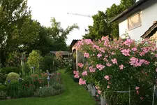 Juni 2218.jpg