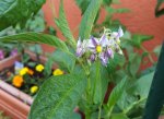 20180610_085655_resized.jpg